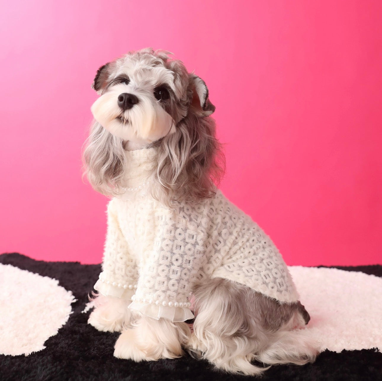 〜11kgまで|犬服|プリンセス風インナー