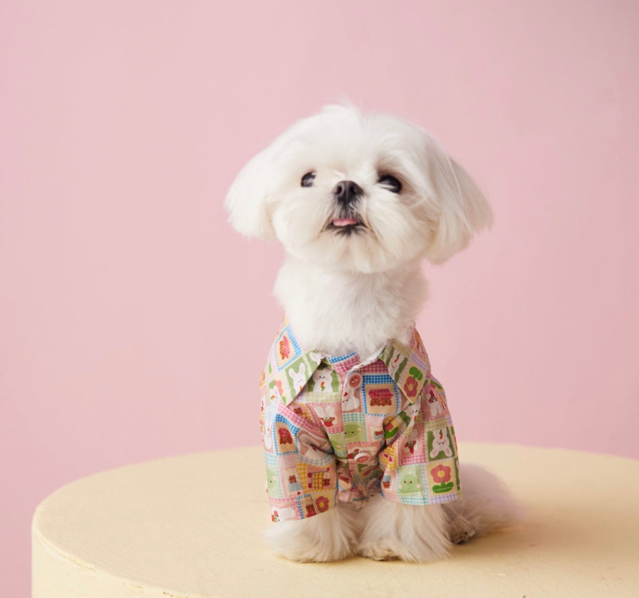 〜11kgまで|犬服|兎柄チェックシャツ