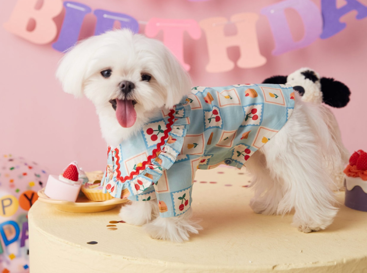 〜11kgまで|犬服|チェリー柄チェックシャツ