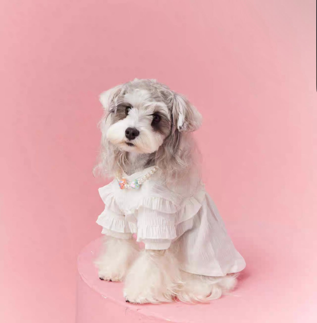 〜11kgまで|犬服|プリンセス風フリルワンピース