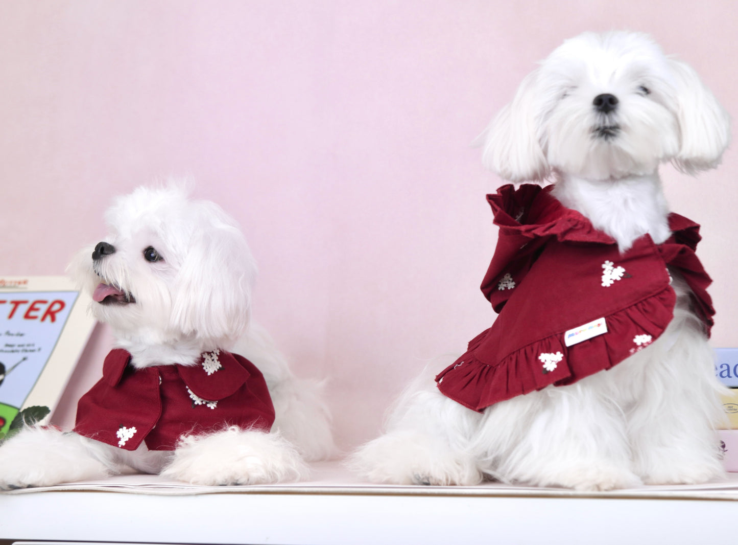 首周り〜23cmまで|犬服|赤ずきん花柄刺繡マント