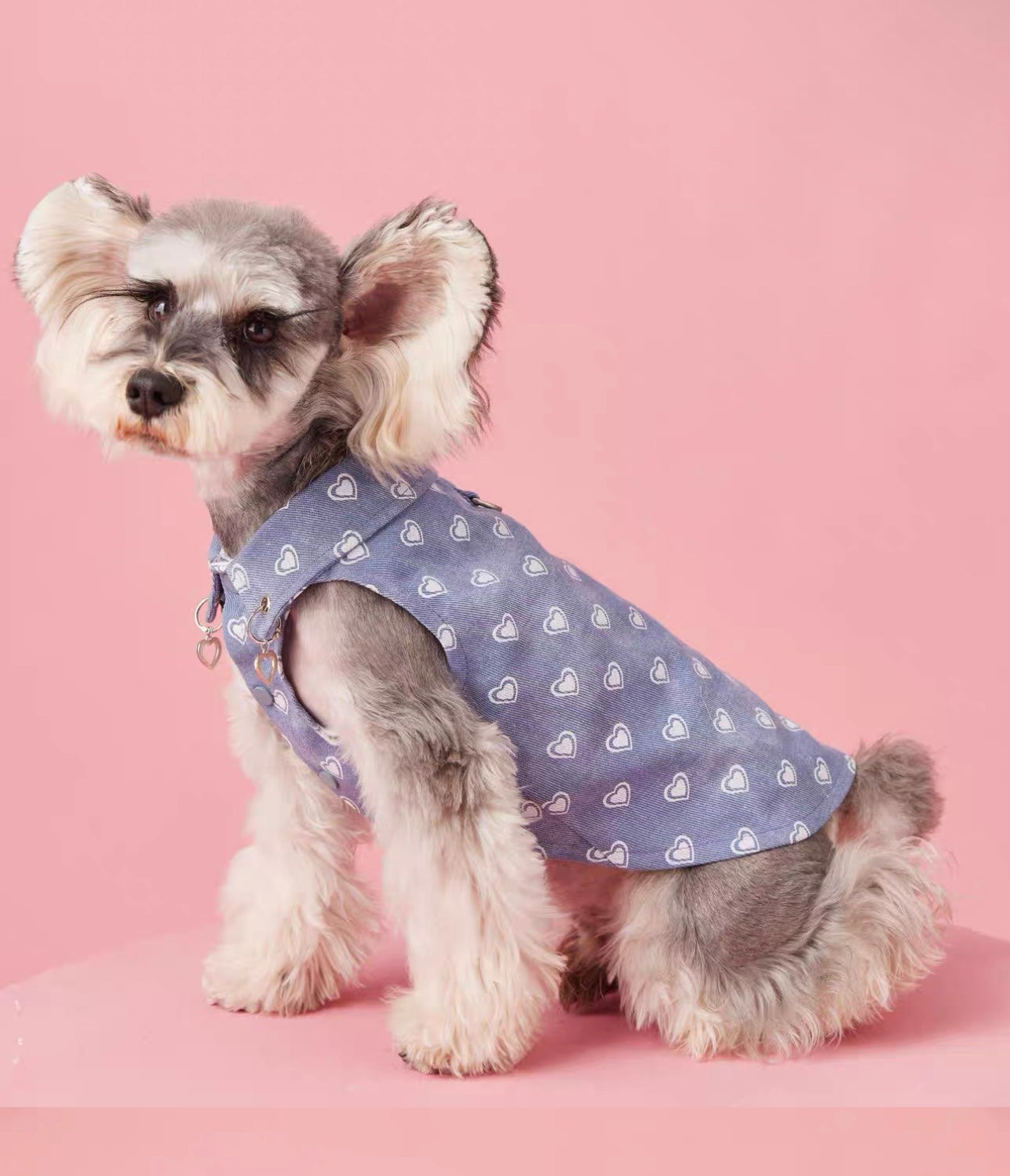 〜11kgまで|犬服|ハート柄デニムベスト