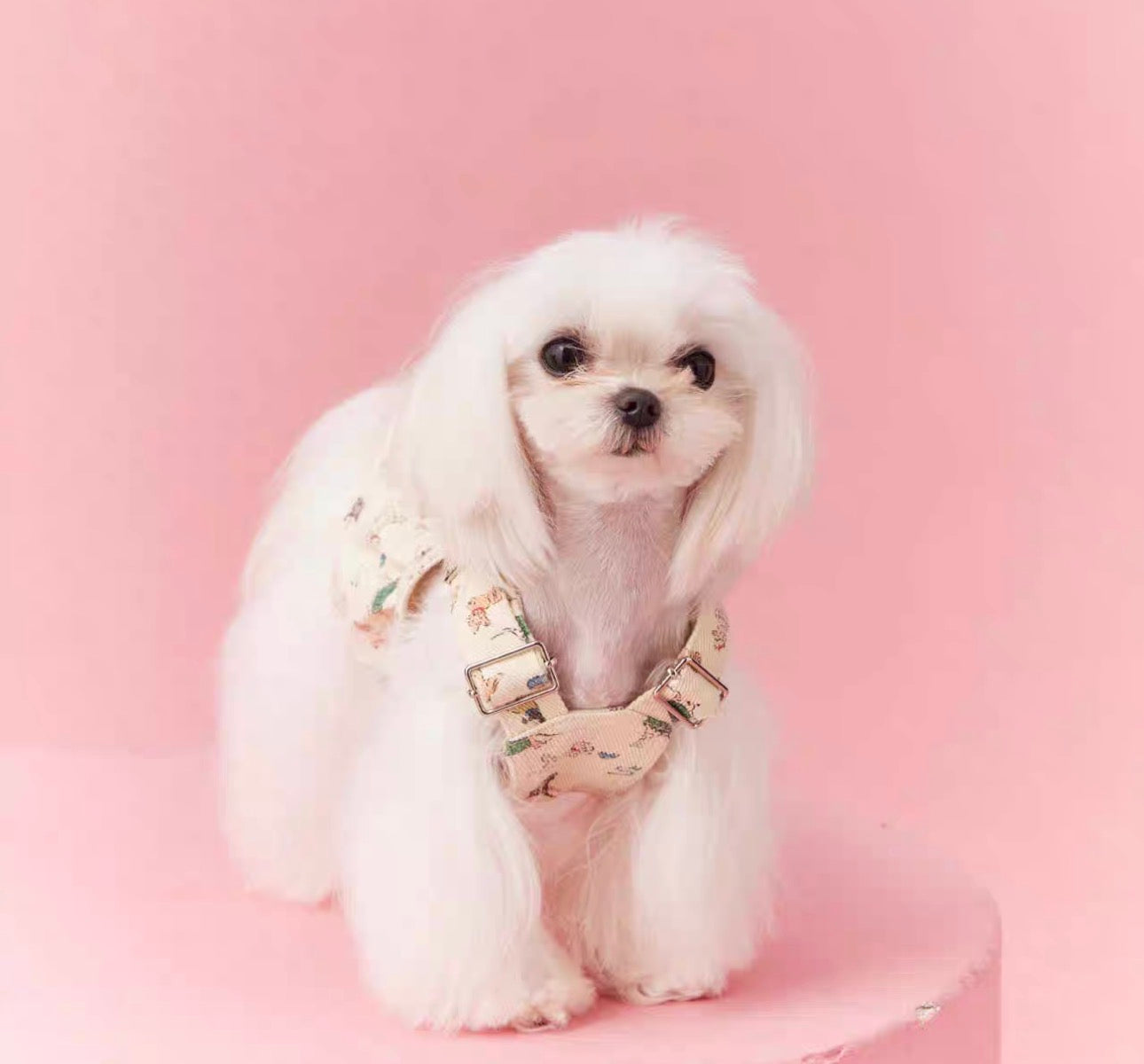 〜11kgまで|犬服|ワンちゃん柄サロペットスカート