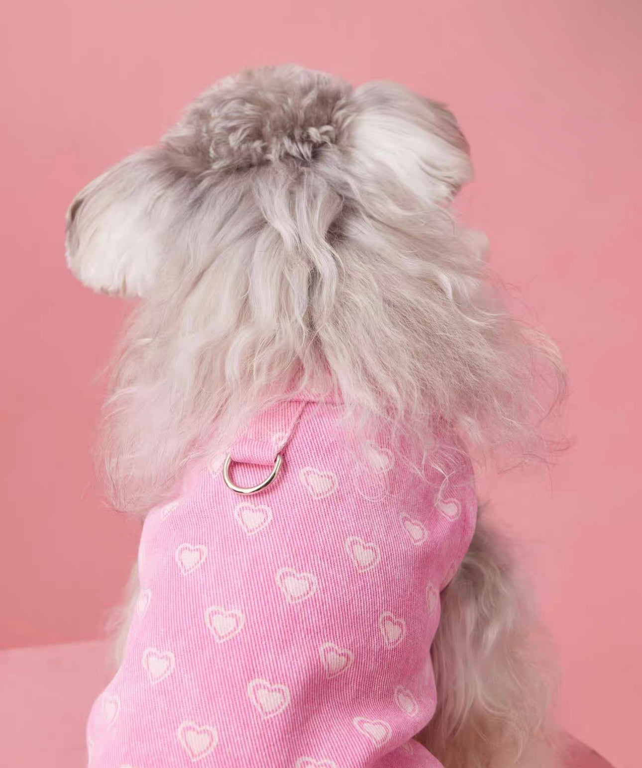 〜11kgまで|犬服|ハート柄デニムベスト