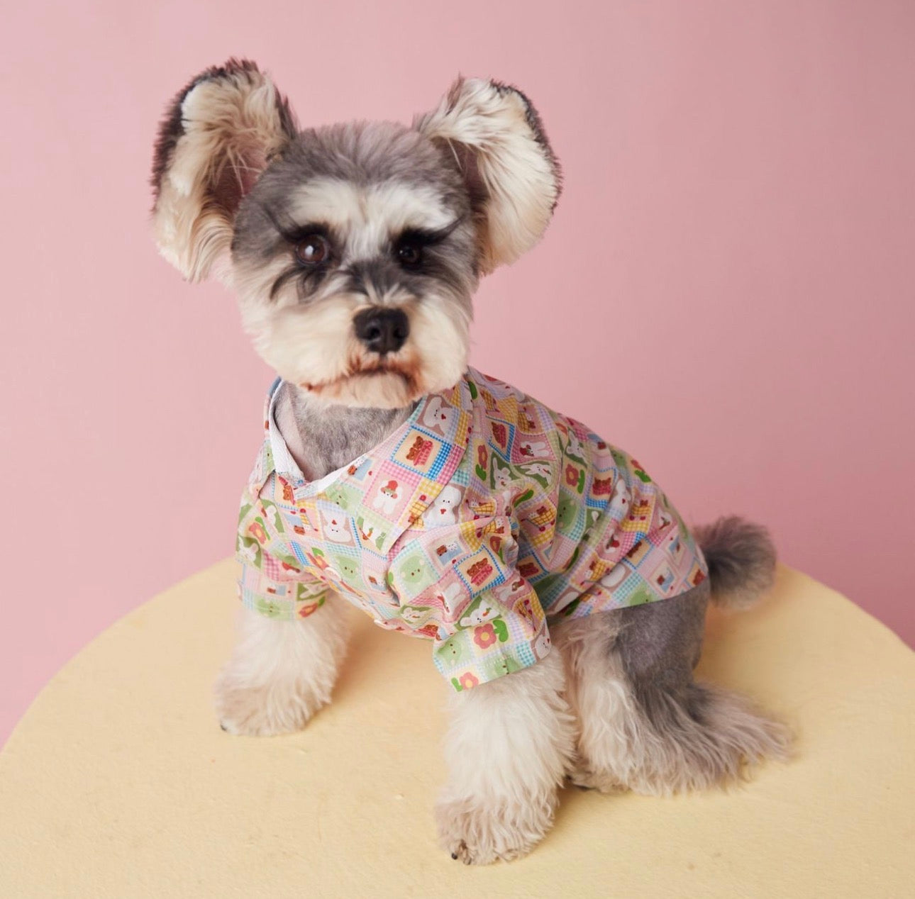 〜11kgまで|犬服|兎柄チェックシャツ
