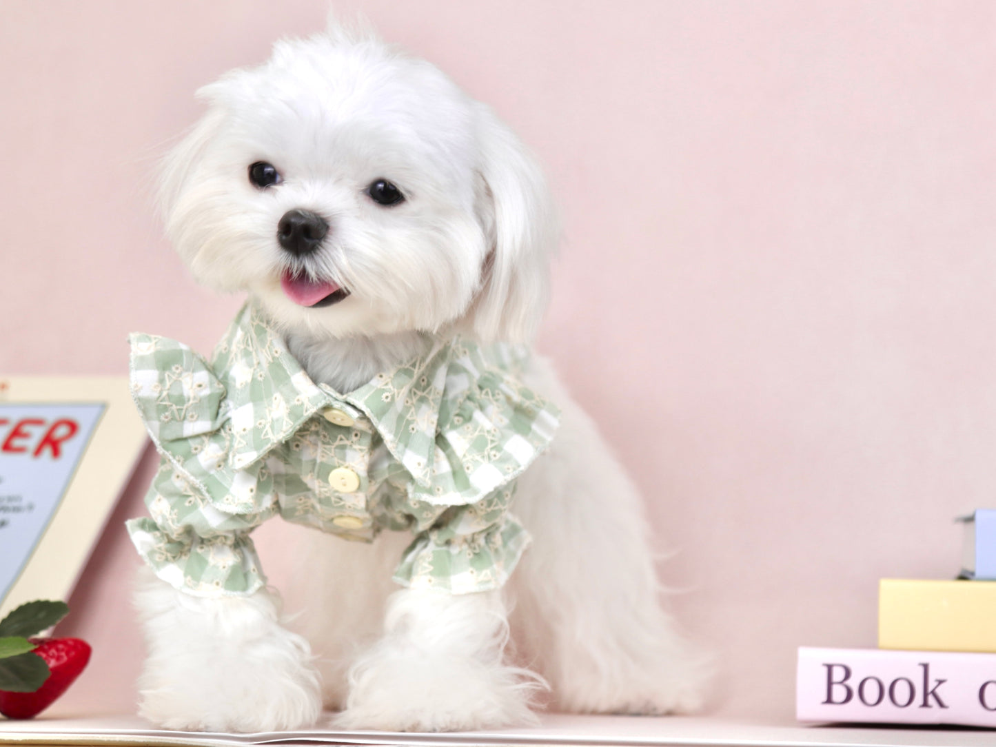 〜7.5kgまで|犬服|スター刺繡チェック柄ブラウス