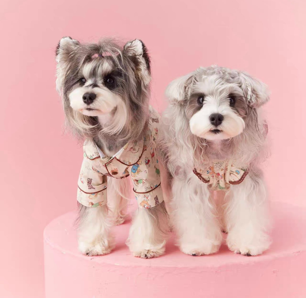 〜11kgまで|犬服|わんちゃん柄シャツ·フリルワンピース
