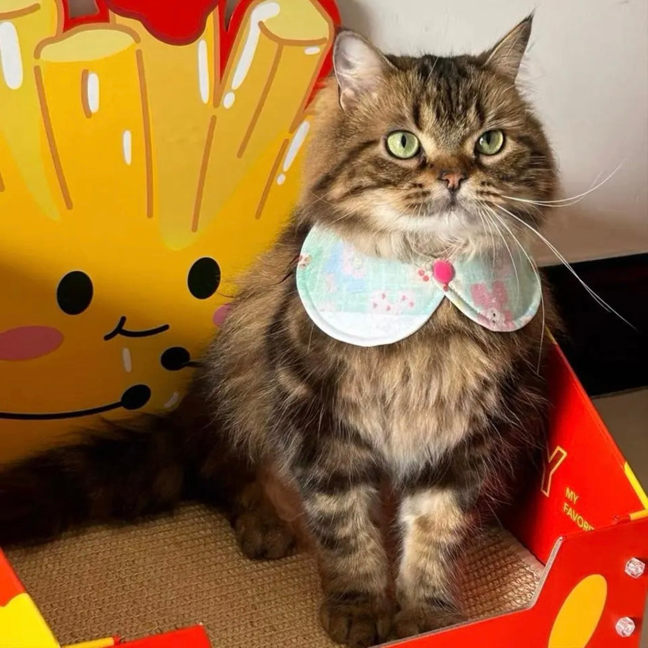【夏🧩セール♪12%OFF】⭐︎パズル柄⭐︎ 犬猫用つけ襟 犬猫スタイ ペットスタイ よだれかけ ビブ