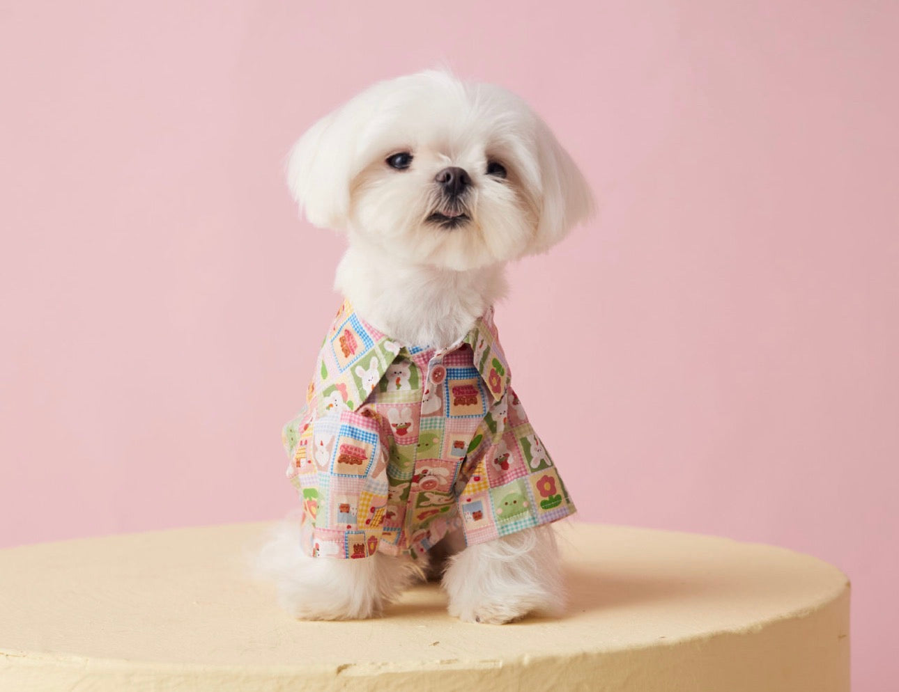 〜11kgまで|犬服|兎柄チェックシャツ