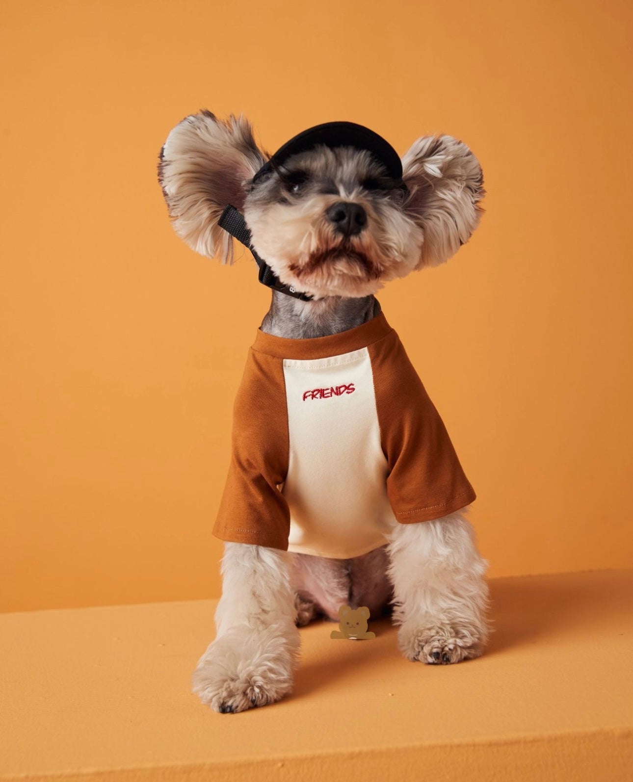 〜11kgまで|犬服|わんちゃんの友達刺繍Tシャツ
