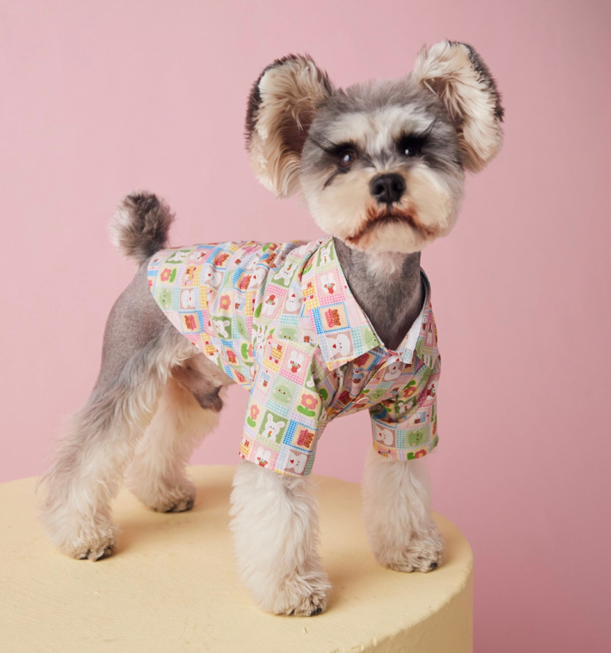 〜11kgまで|犬服|兎柄チェックシャツ