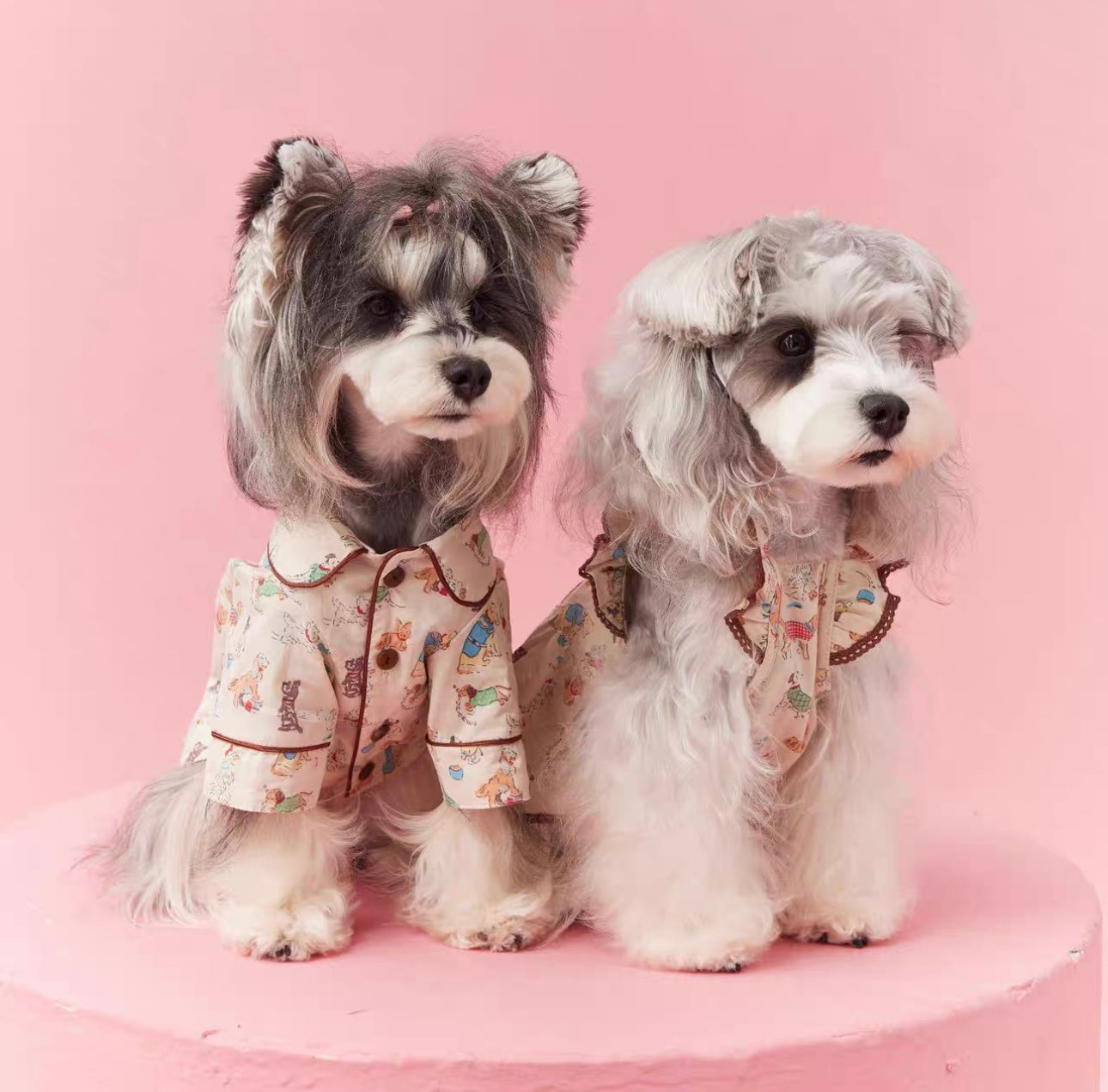 〜11kgまで|犬服|わんちゃん柄シャツ·フリルワンピース