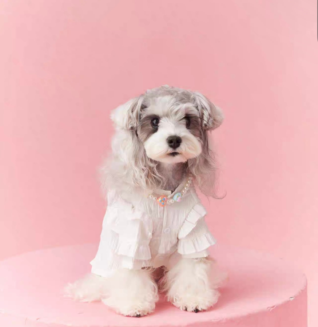 〜11kgまで|犬服|プリンセス風フリルワンピース