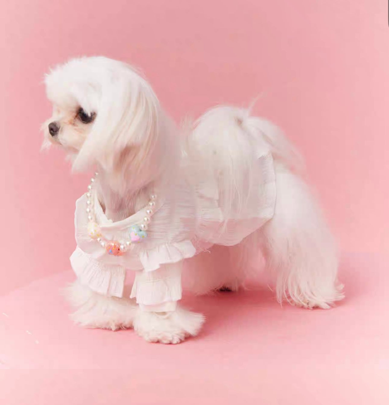 〜11kgまで|犬服|プリンセス風フリルワンピース