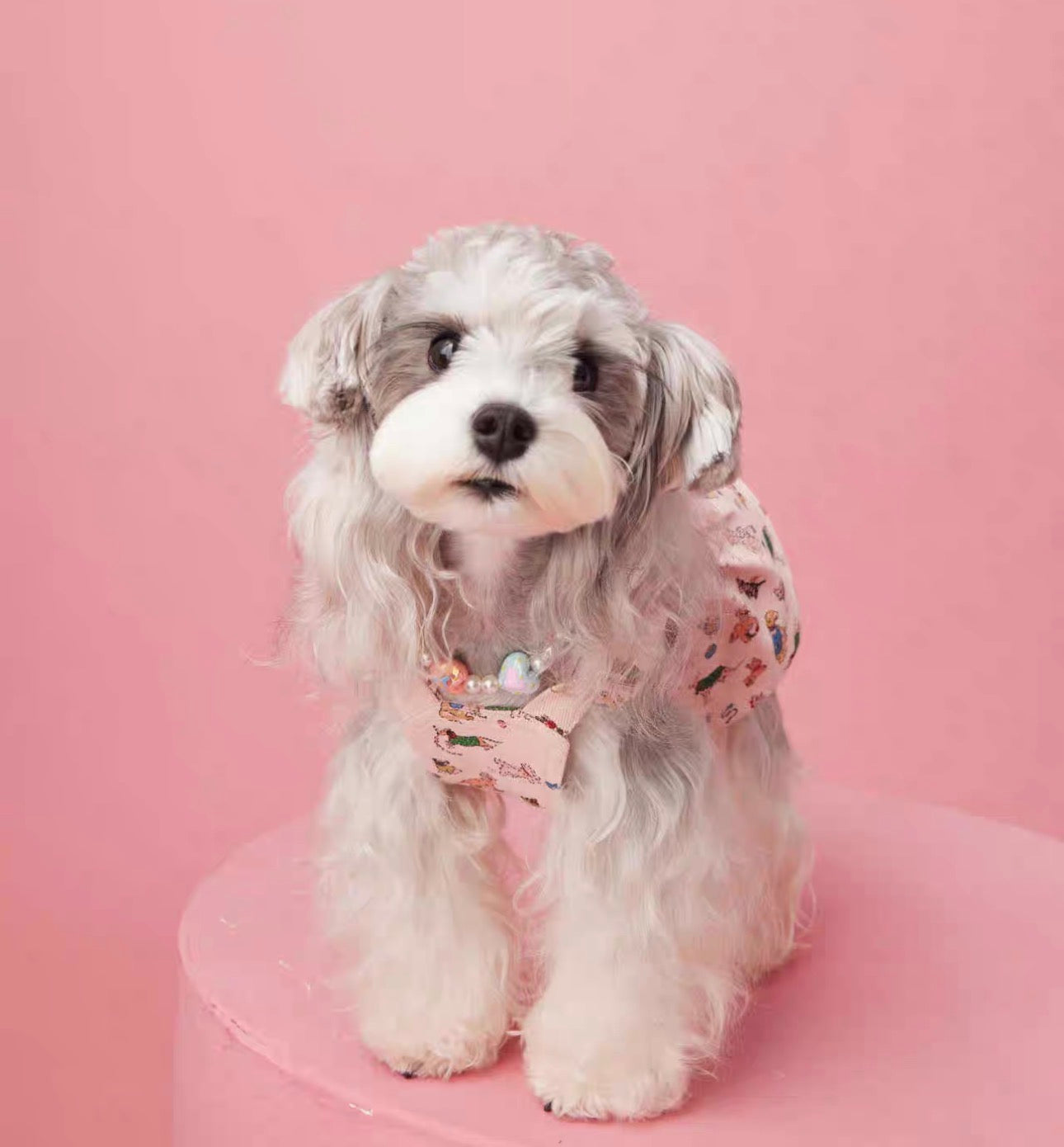 〜11kgまで|犬服|ワンちゃん柄サロペットスカート