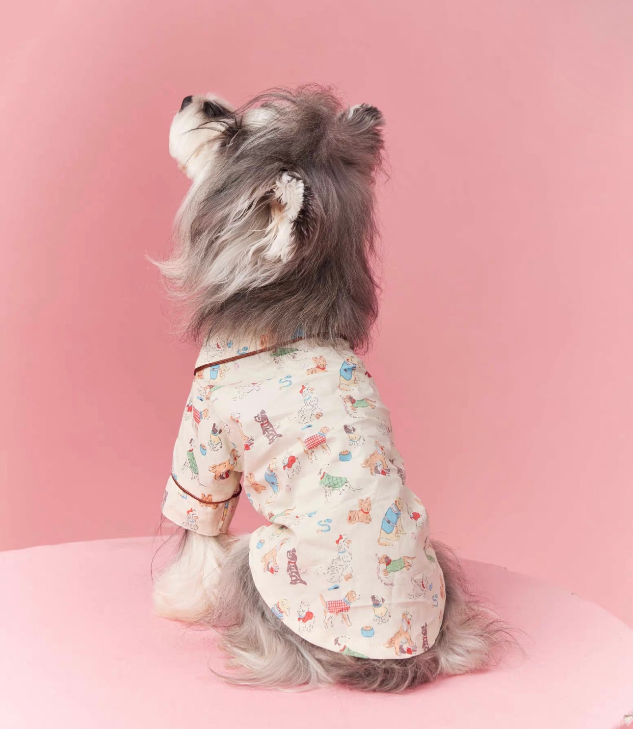 〜11kgまで|犬服|わんちゃん柄シャツ·フリルワンピース