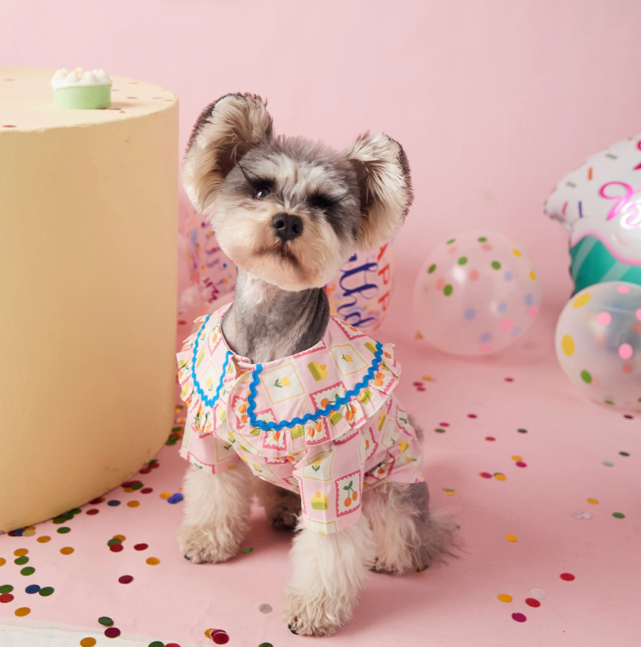 〜11kgまで|犬服|チェリー柄チェックシャツ