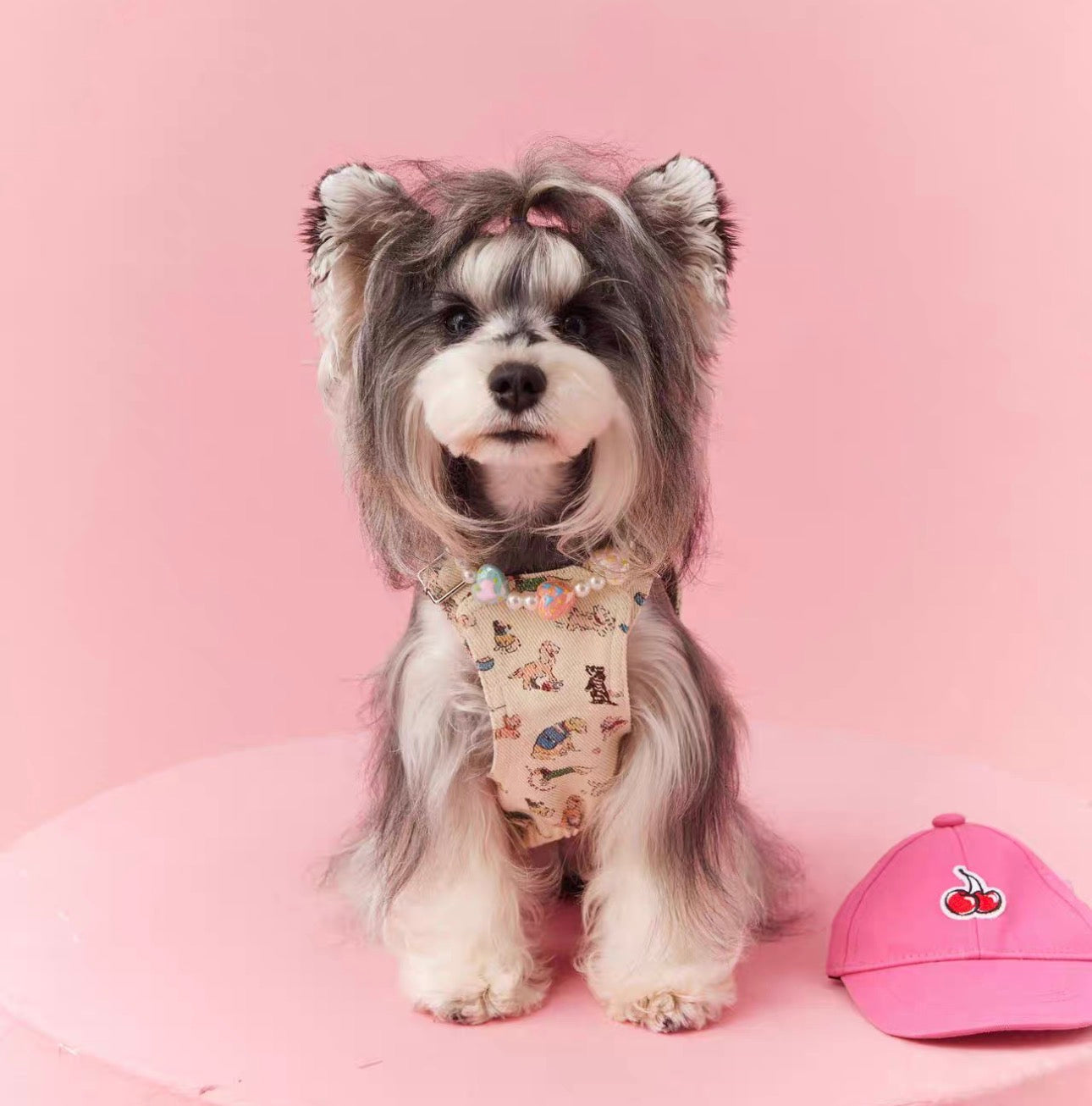 〜11kgまで|犬服|ワンちゃん柄サロペットスカート