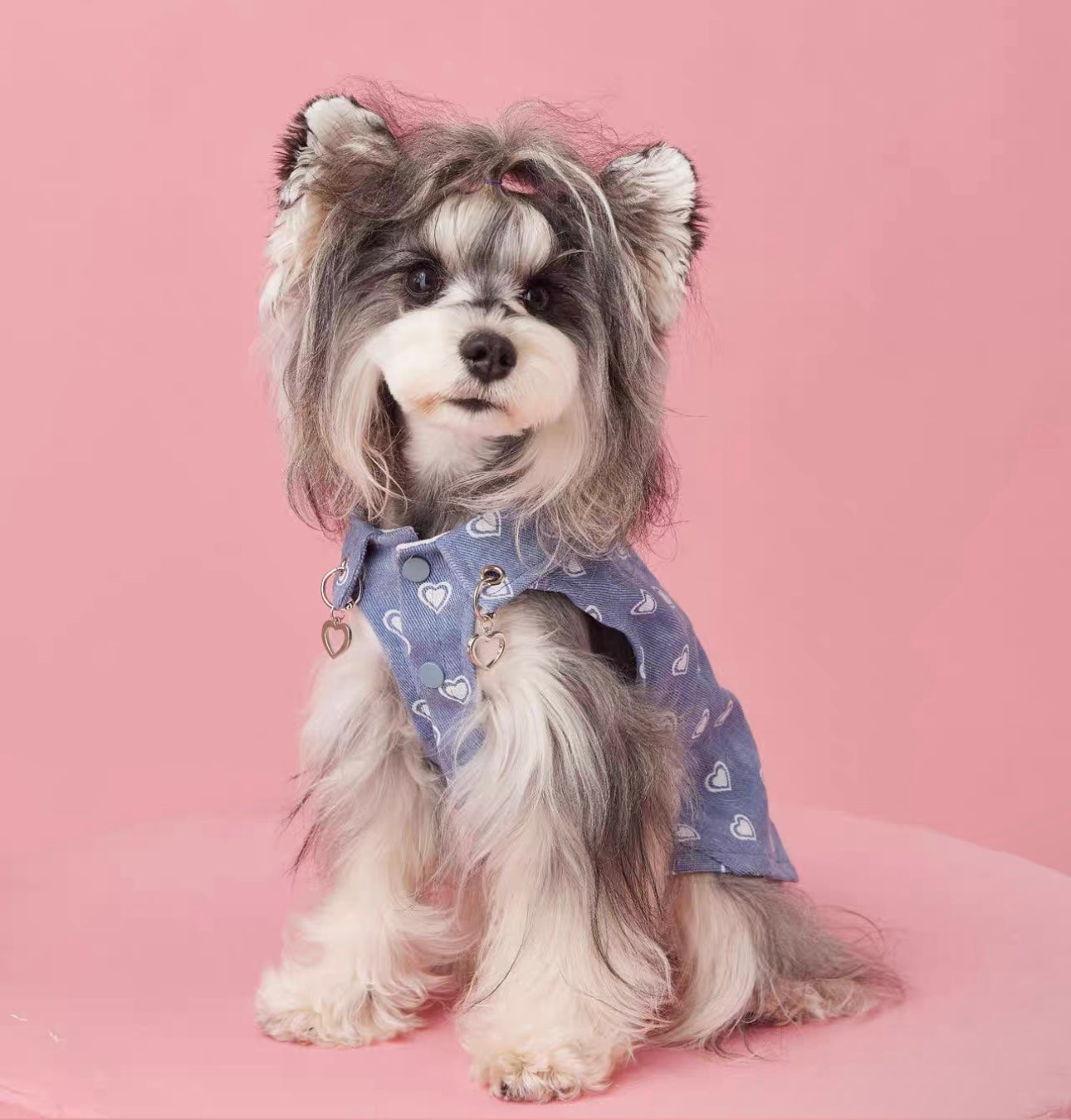 〜11kgまで|犬服|ハート柄デニムベスト