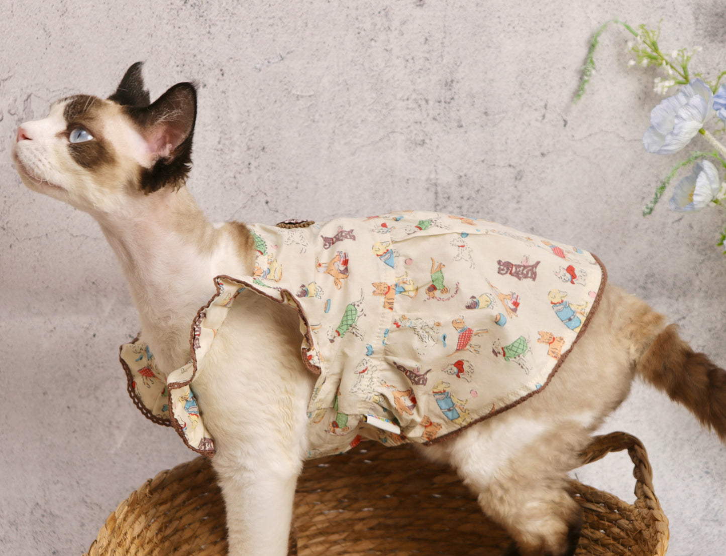 〜11kgまで|犬服|わんちゃん柄シャツ·フリルワンピース