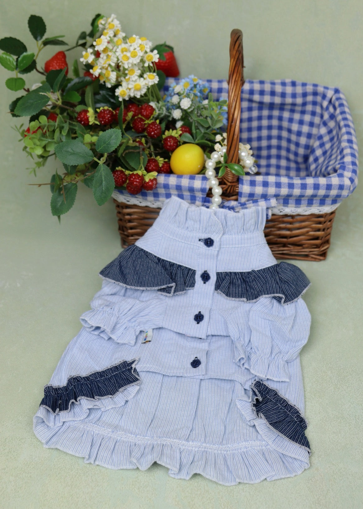 〜7.5kgまで|犬服|縞柄 女の子フリルブラウス&男の子シャツ