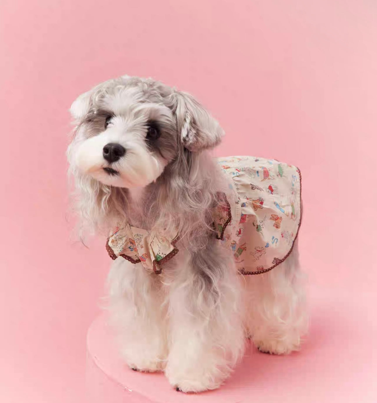 〜11kgまで|犬服|わんちゃん柄シャツ·フリルワンピース