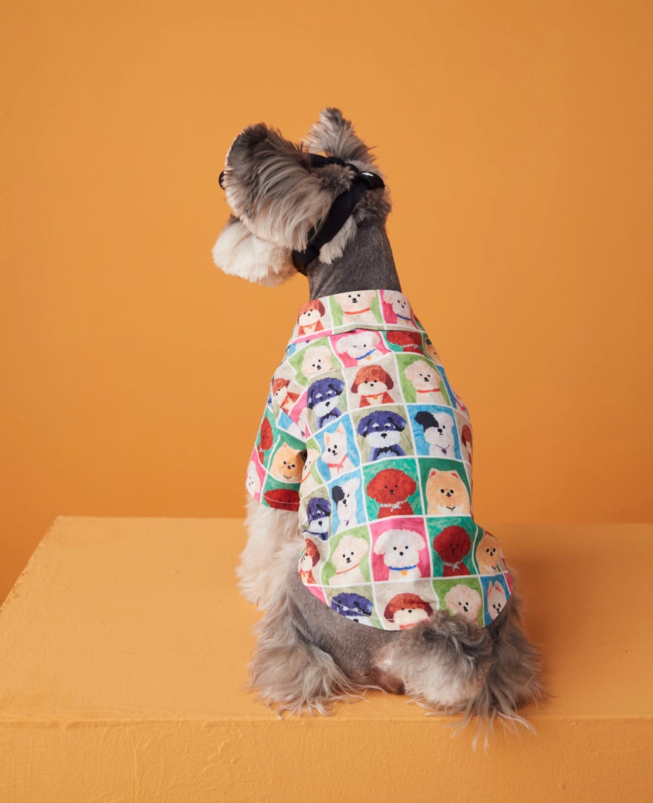 〜11kgまで|犬服|わんちゃんxチェック柄シャツ