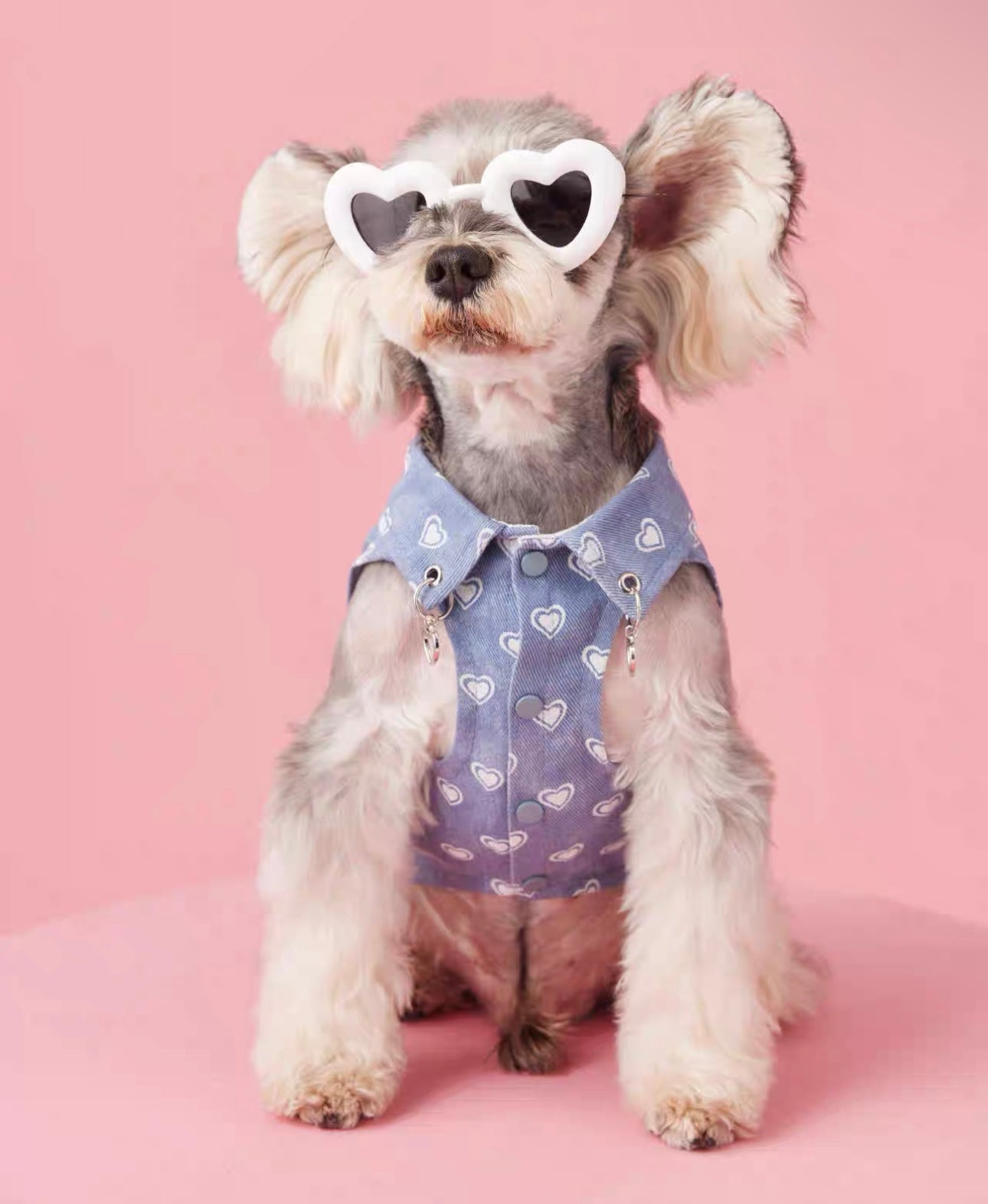 〜11kgまで|犬服|ハート柄デニムベスト