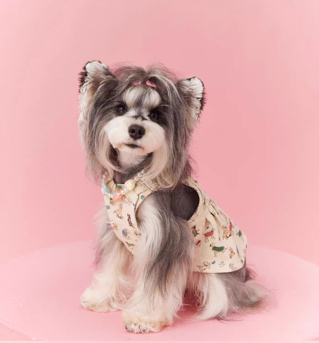 〜11kgまで|犬服|ワンちゃん柄サロペットスカート