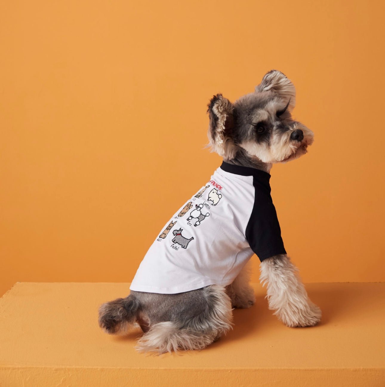 〜11kgまで|犬服|わんちゃんの友達刺繍Tシャツ
