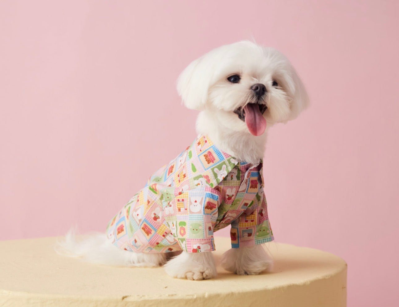 〜11kgまで|犬服|兎柄チェックシャツ