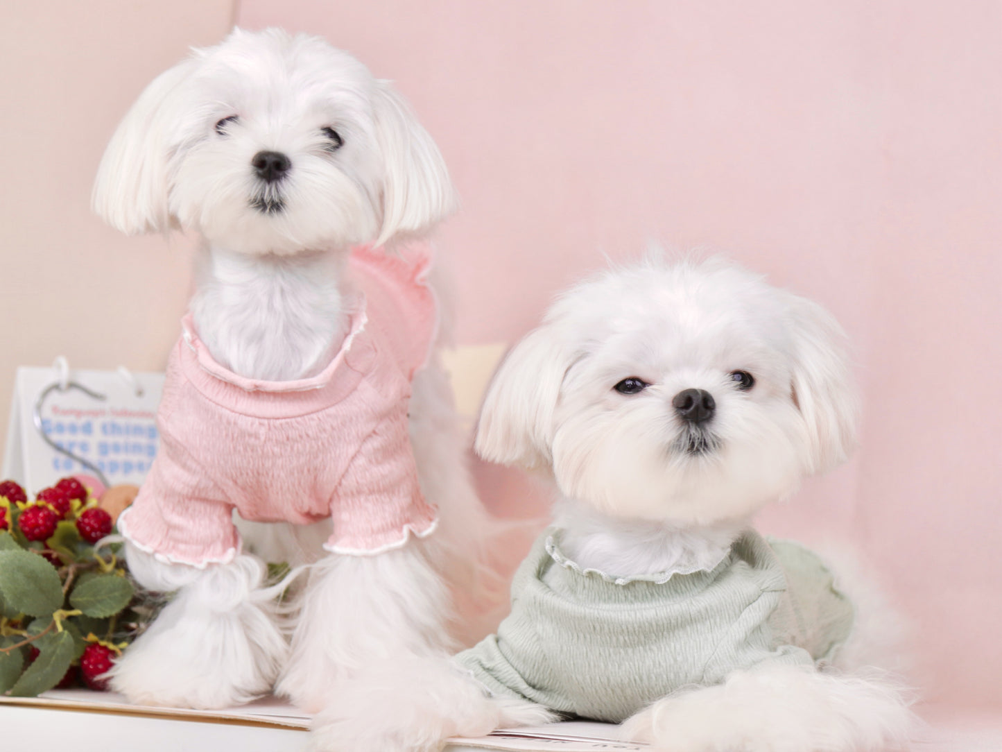フリルかわいいTシャツ💗