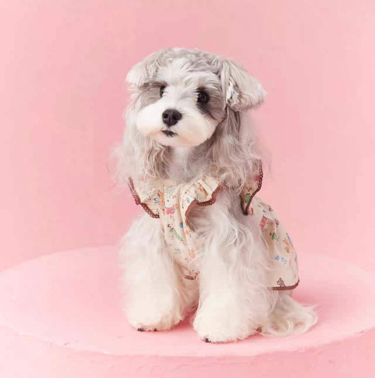 〜11kgまで|犬服|わんちゃん柄シャツ·フリルワンピース