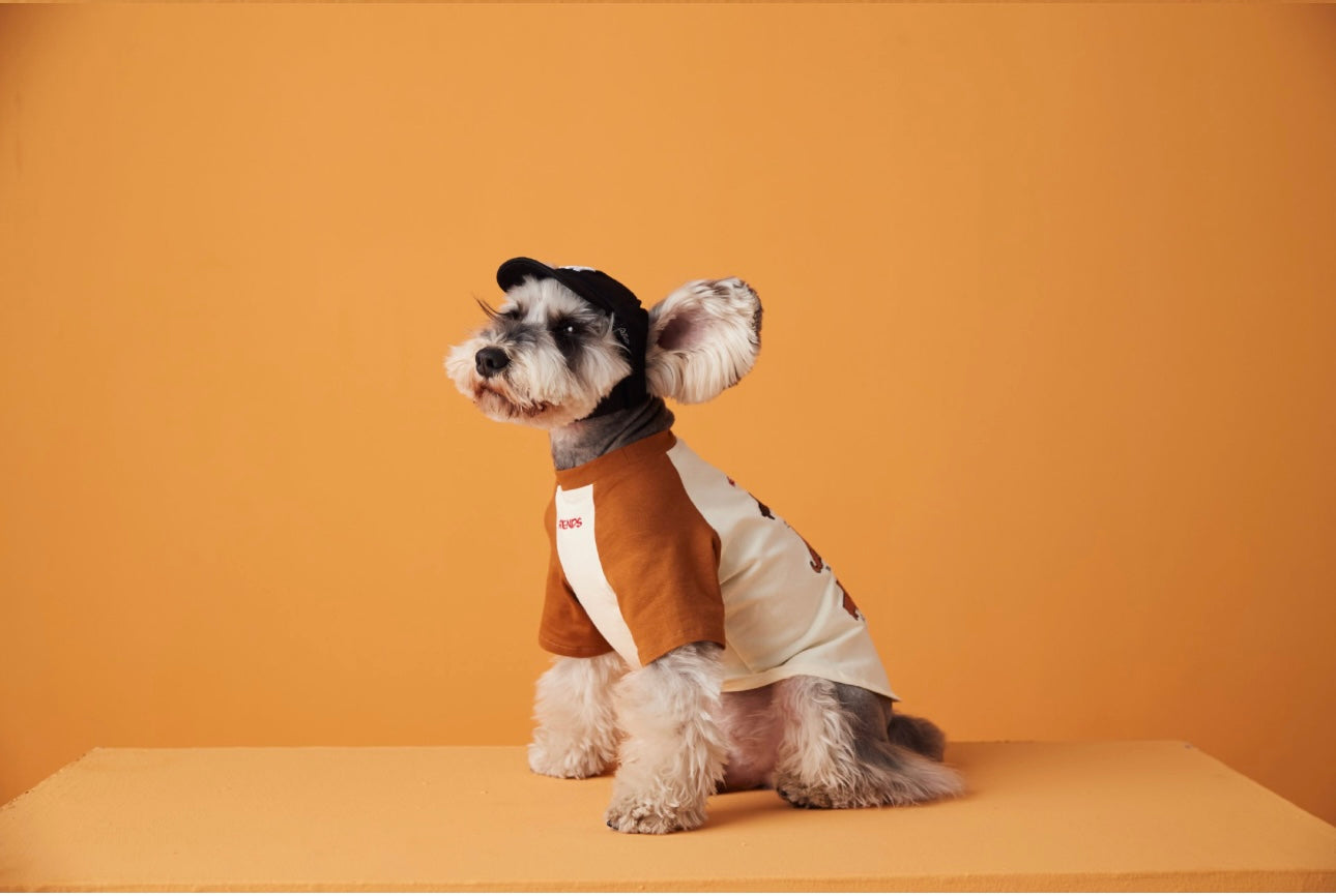 〜11kgまで|犬服|わんちゃんの友達刺繍Tシャツ