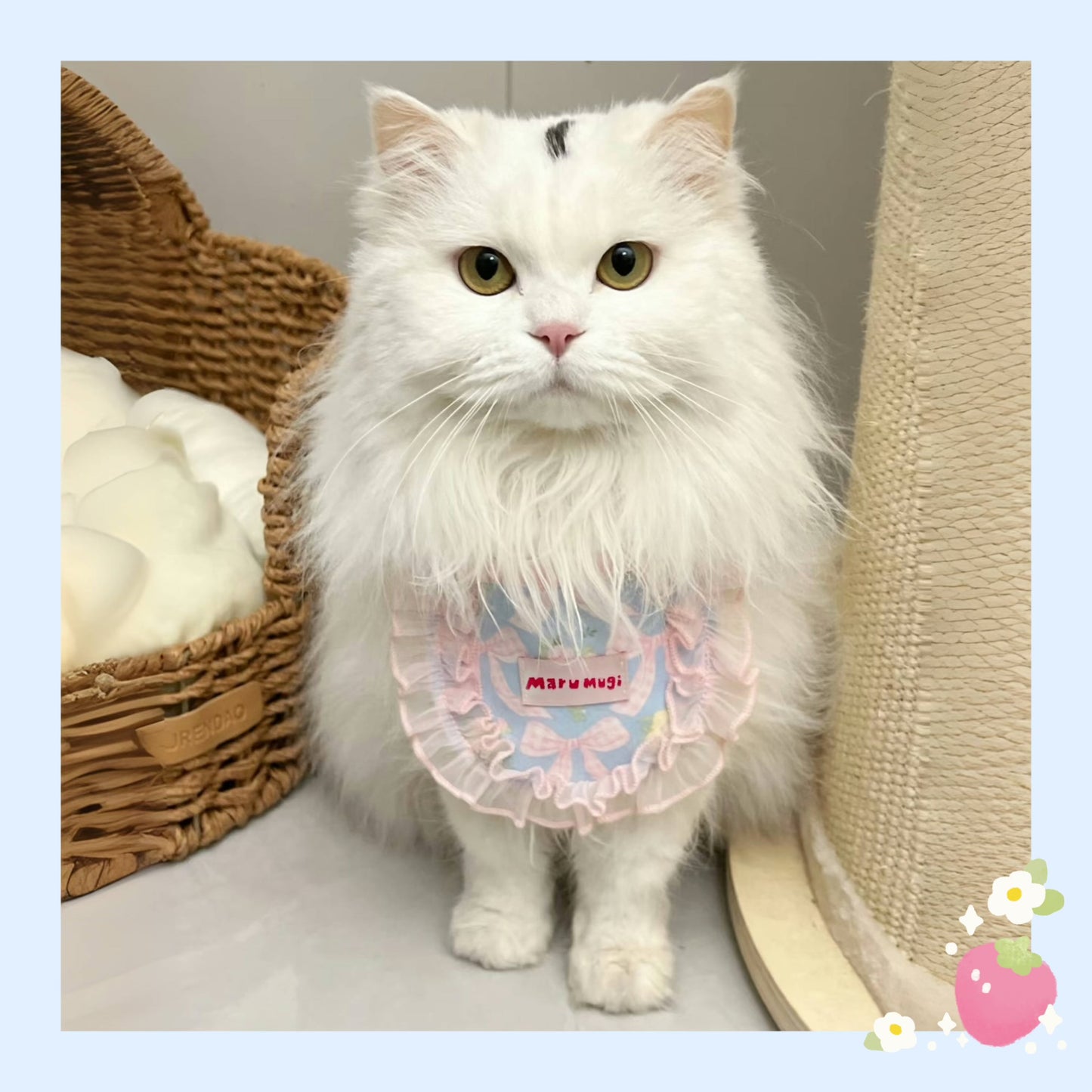 【夏🧊セール♪12%OFF】⭐︎BLUEスタイ⭐︎犬猫用スタイ ペットスタイ よだれかけ ビブ