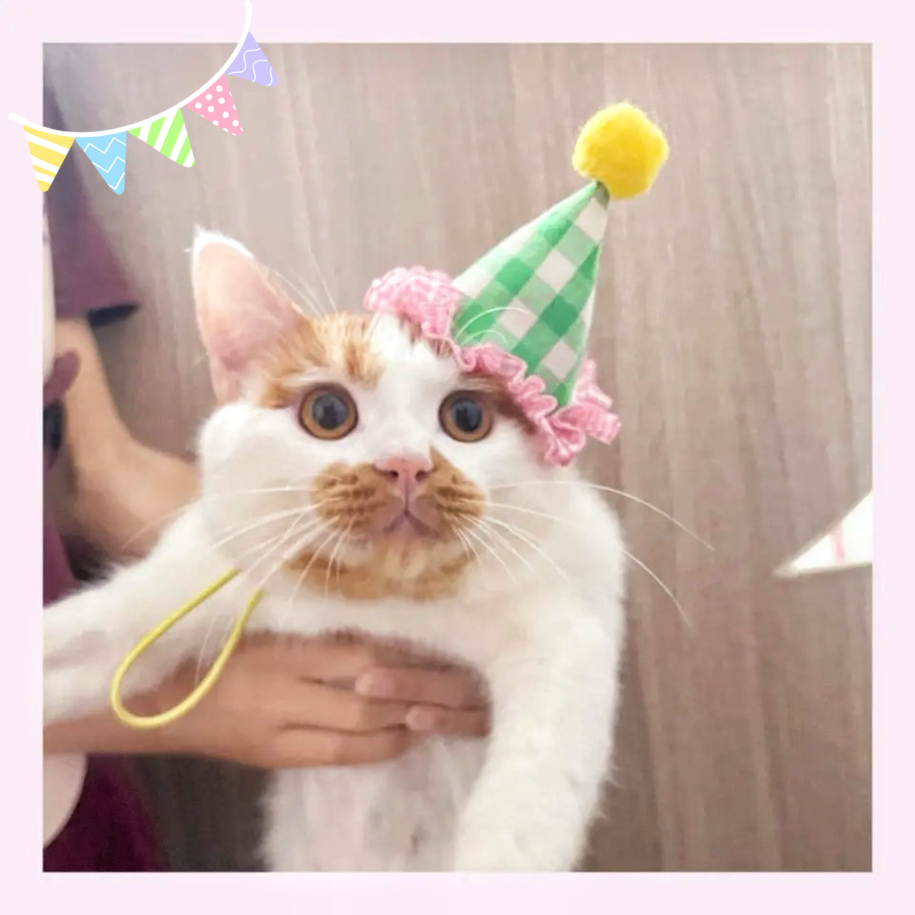 【犬用|猫用party hat🎉】現品限り 即発 パーティーハット 誕生日グッズ 誕生日準備 帽子 ペット クラウン 犬 わんこ 猫 うさぎ わんちゃん