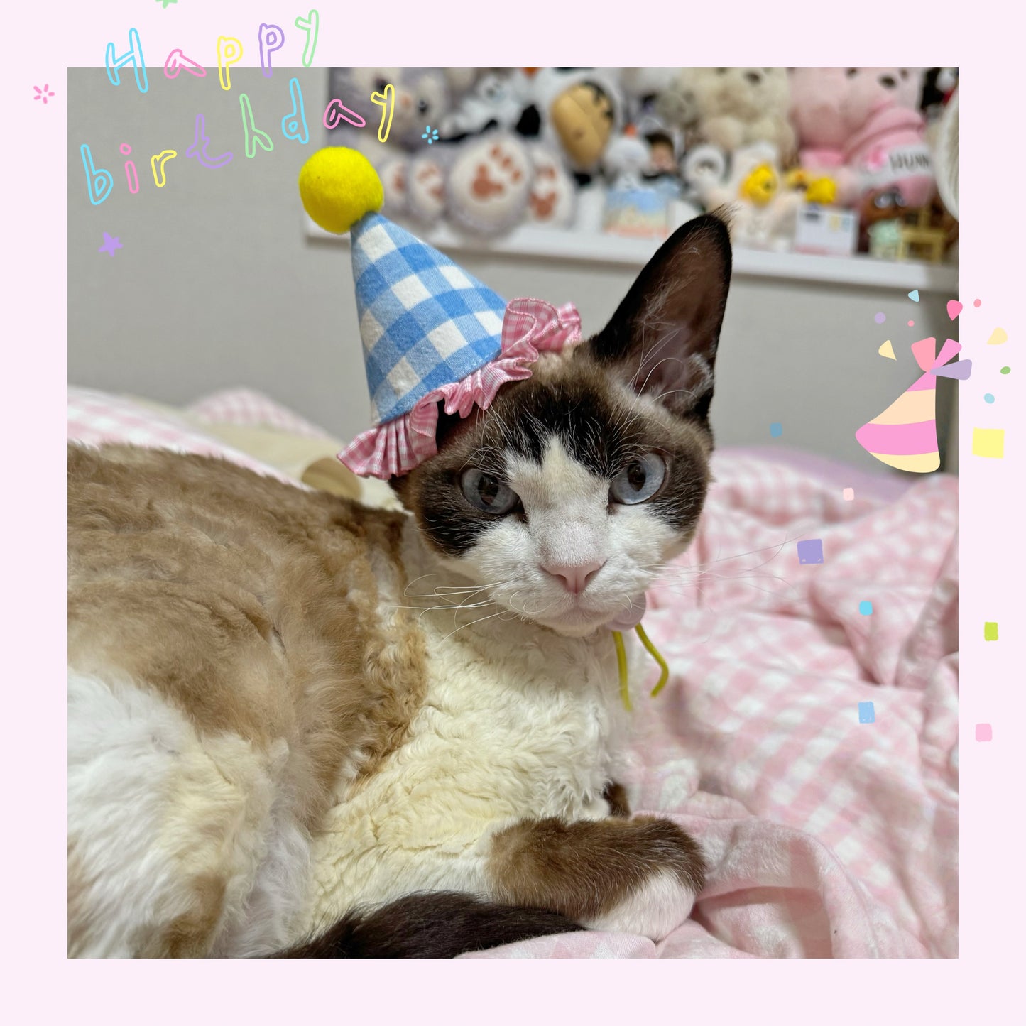 【犬用|猫用party hat🎉】現品限り 即発 パーティーハット 誕生日グッズ 誕生日準備 帽子 ペット クラウン 犬 わんこ 猫 うさぎ わんちゃん