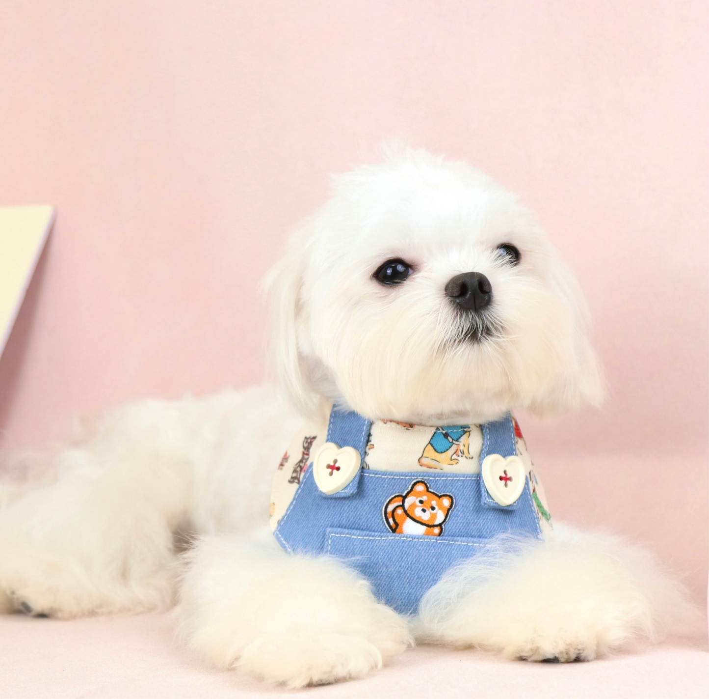 【夏🩵セール♪12%OFF】スーツ柄&デニム♡わんちゃんねこちゃんネクタイ|犬用ネクタイ|猫ネクタイ|猫スタイ|ショートタイ|バンダナ|