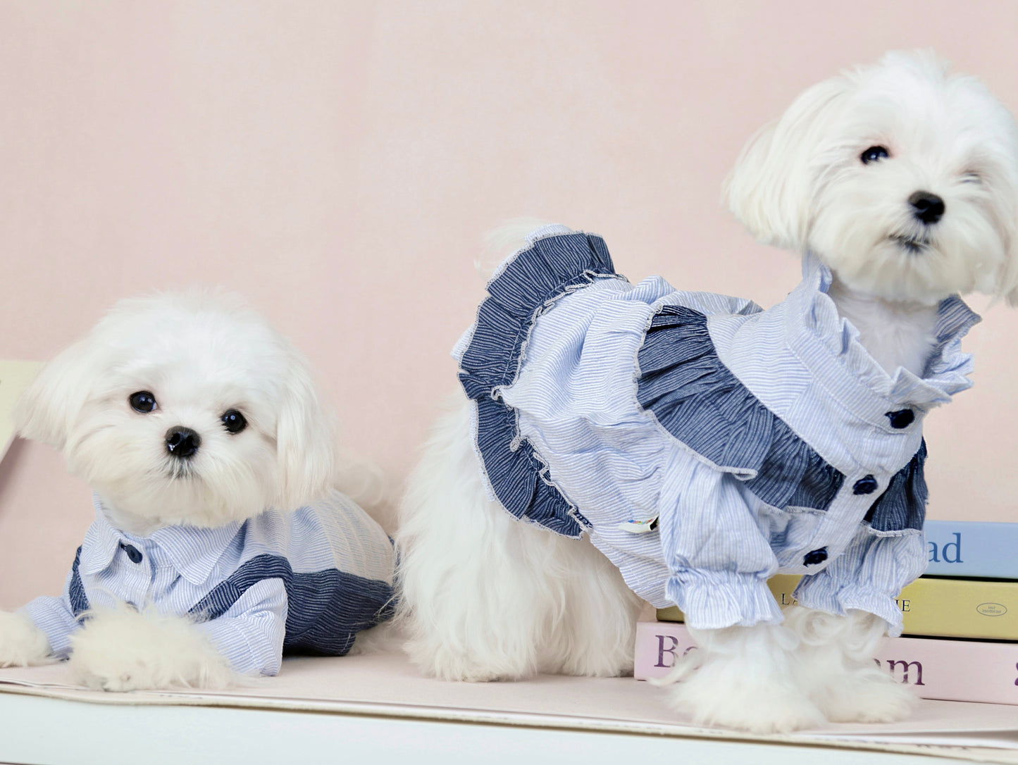 〜7.5kgまで|犬服|縞柄 女の子フリルブラウス&男の子シャツ