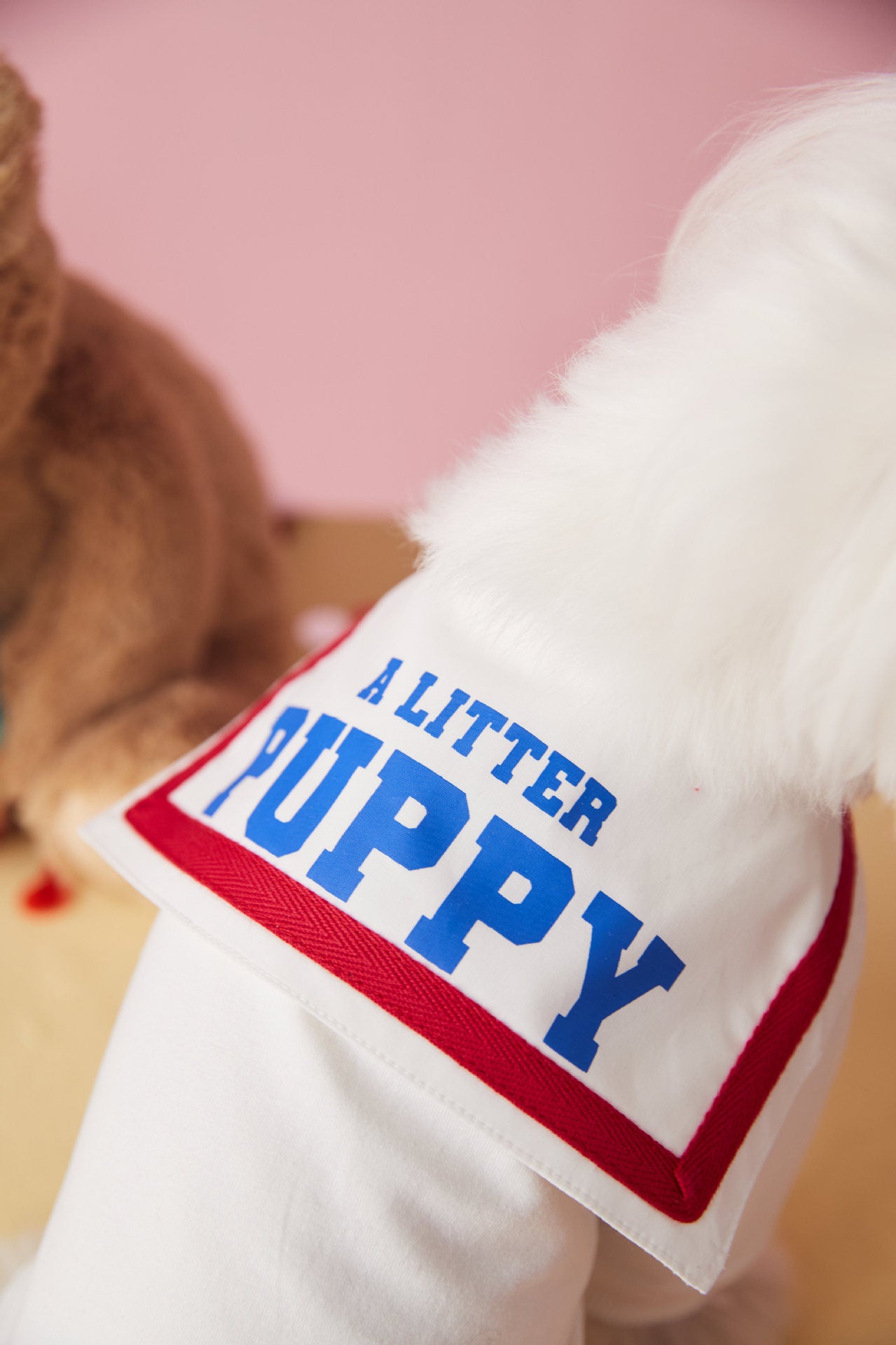 〜11kgまで|犬服|「セーラースタイル」サロペットスカート(帽子付き)❤