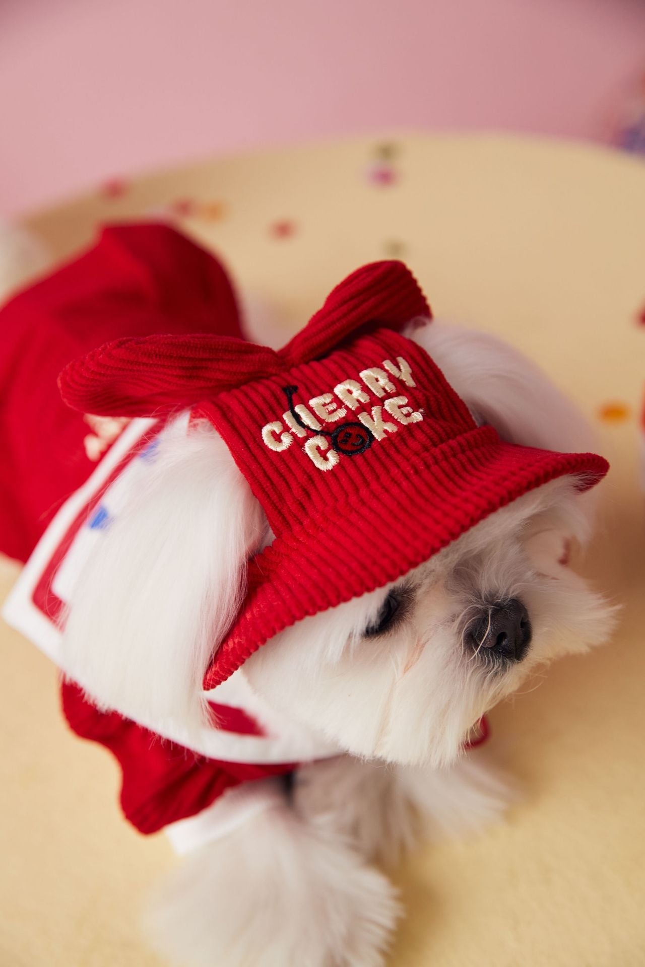 〜11kgまで|犬服|「セーラースタイル」サロペットスカート(帽子付き)❤