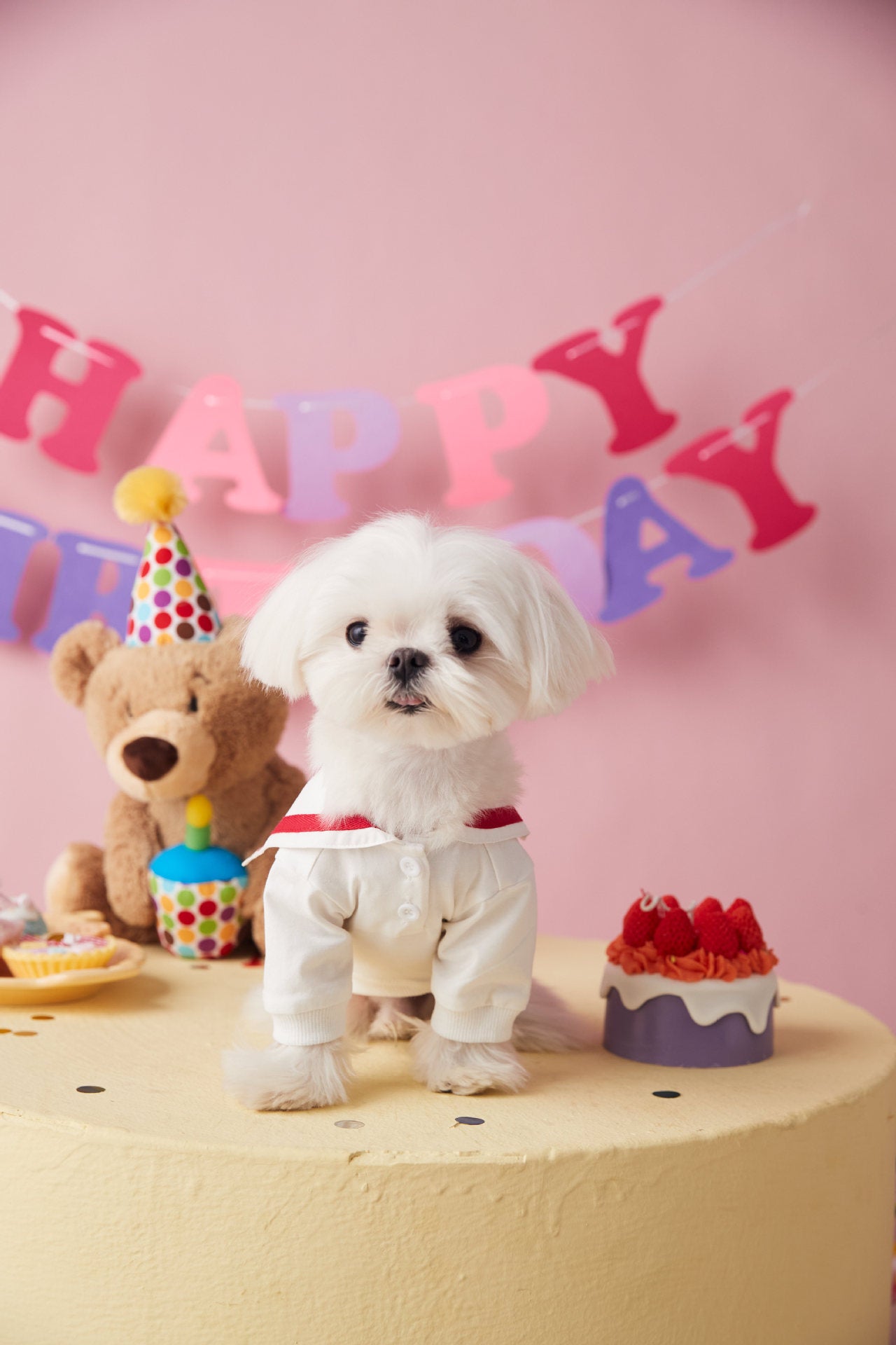 〜11kgまで|犬服|「セーラースタイル」サロペットスカート(帽子付き)❤