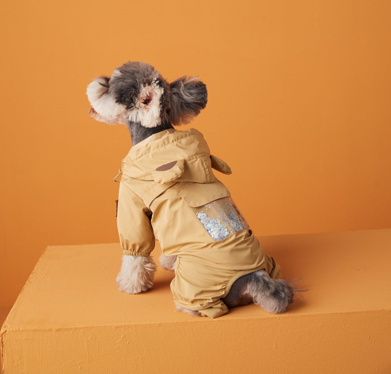 〜11kgまで|犬服|ペット用レインコート