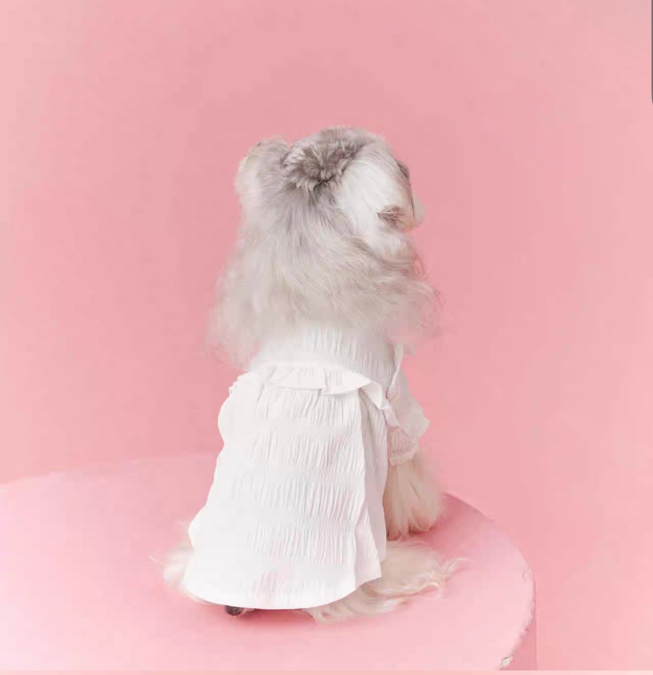 〜11kgまで|犬服|プリンセス風フリルワンピース