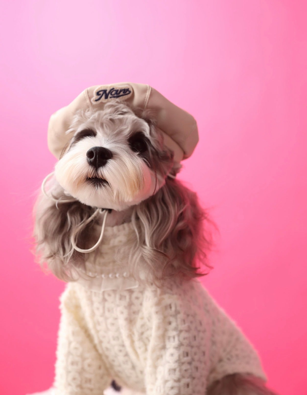 〜11kgまで|犬服|プリンセス風インナー
