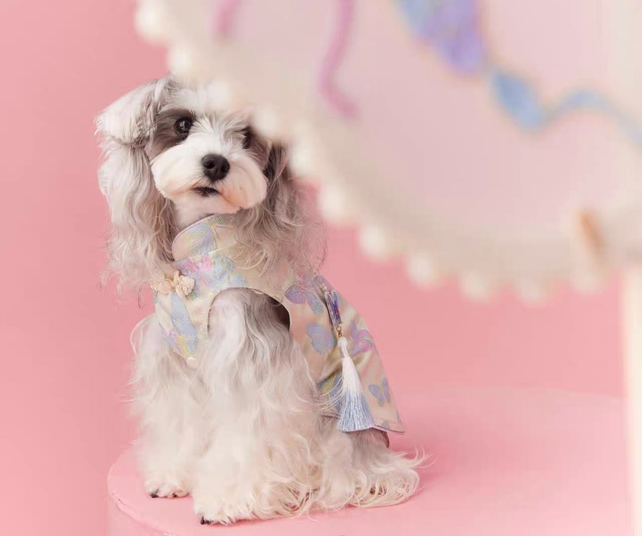 〜11kgまで|犬服|袖なし刺繡蝶々柄🦋ワンピース