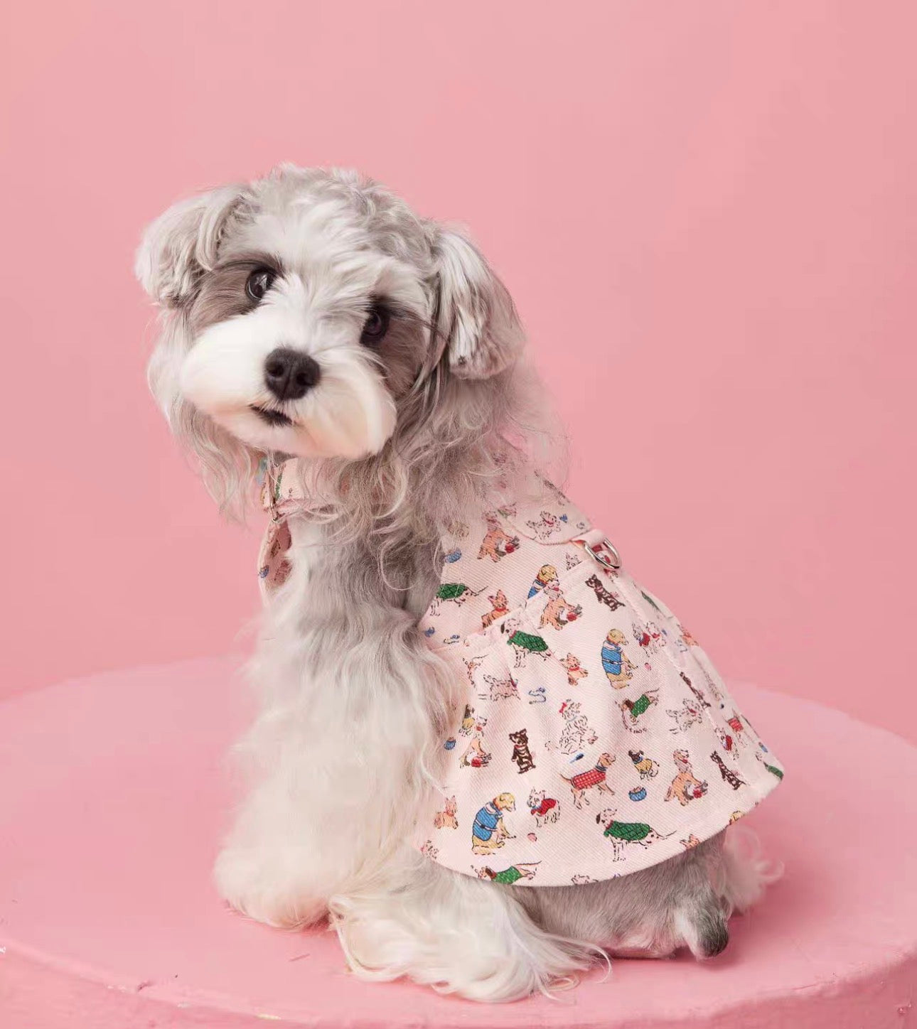 〜11kgまで|犬服|ワンちゃん柄サロペットスカート