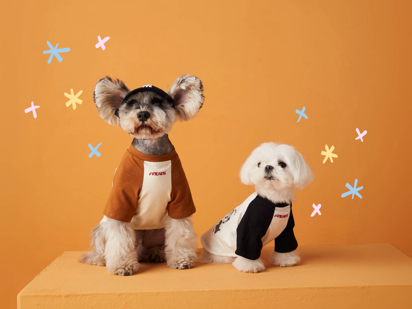 〜11kgまで|犬服|わんちゃんの友達刺繍Tシャツ
