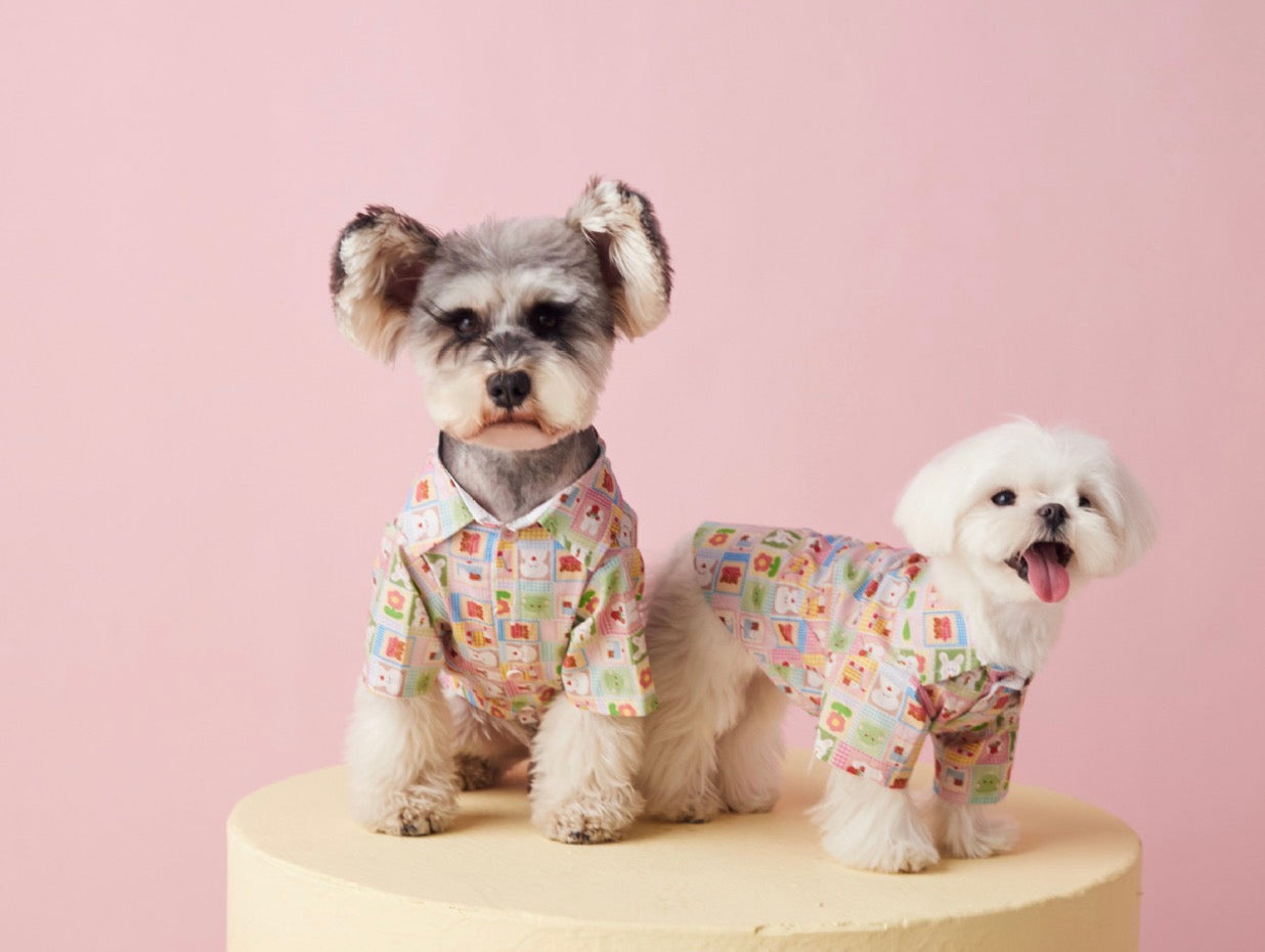 〜11kgまで|犬服|兎柄チェックシャツ