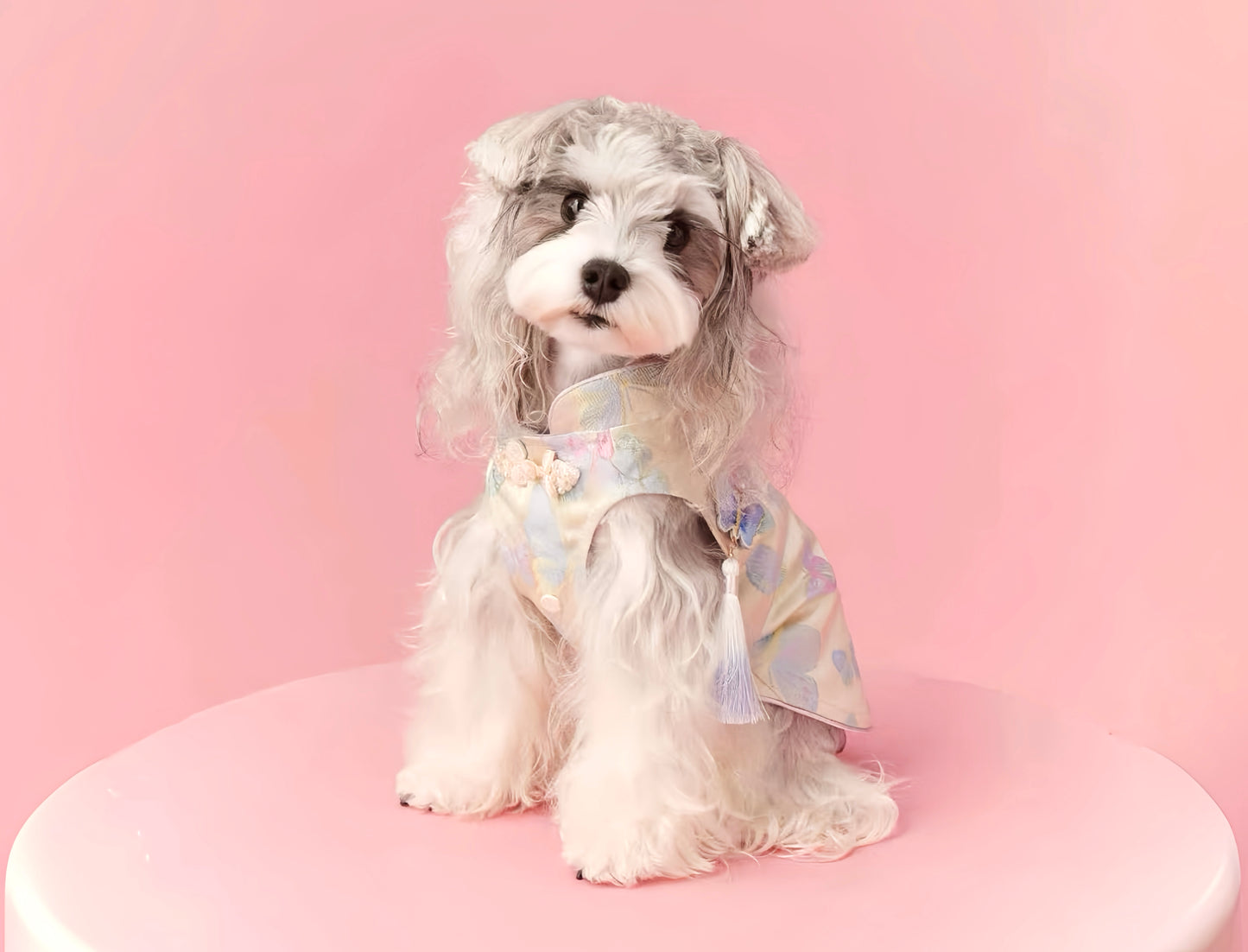 〜11kgまで|犬服|袖なし刺繡蝶々柄🦋ワンピース